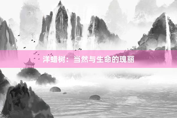 洋蜡树：当然与生命的瑰丽