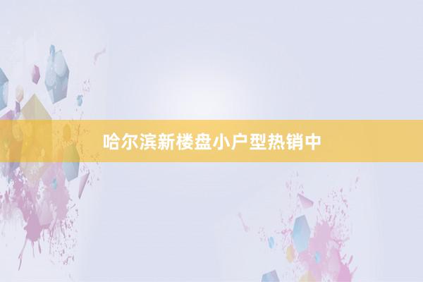 哈尔滨新楼盘小户型热销中